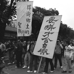 這是一張圖片