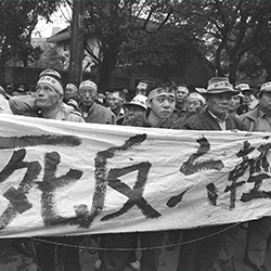這是一張圖片