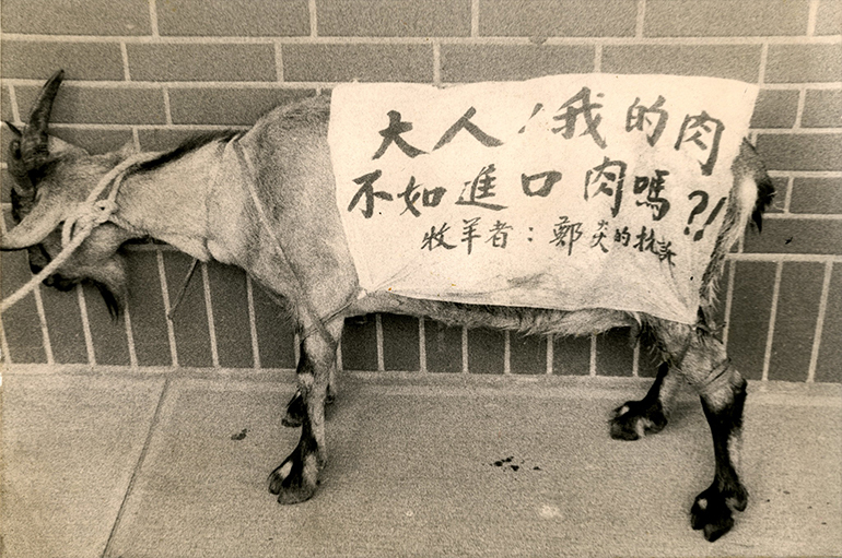 這是一張圖片 這是一張圖片